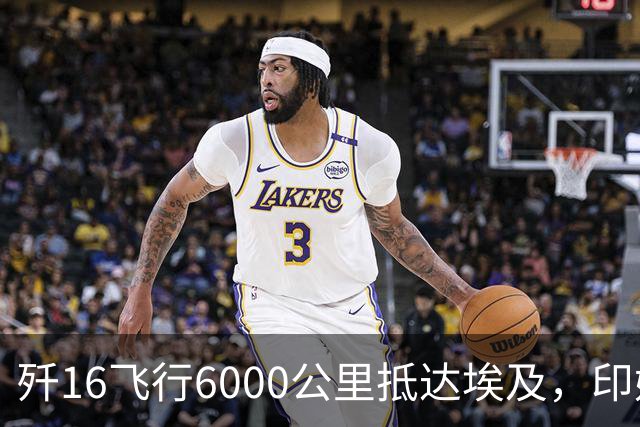 歼16飞行6000公里抵达埃及，印媒嫉妒坏了：印度空军可以做得更好